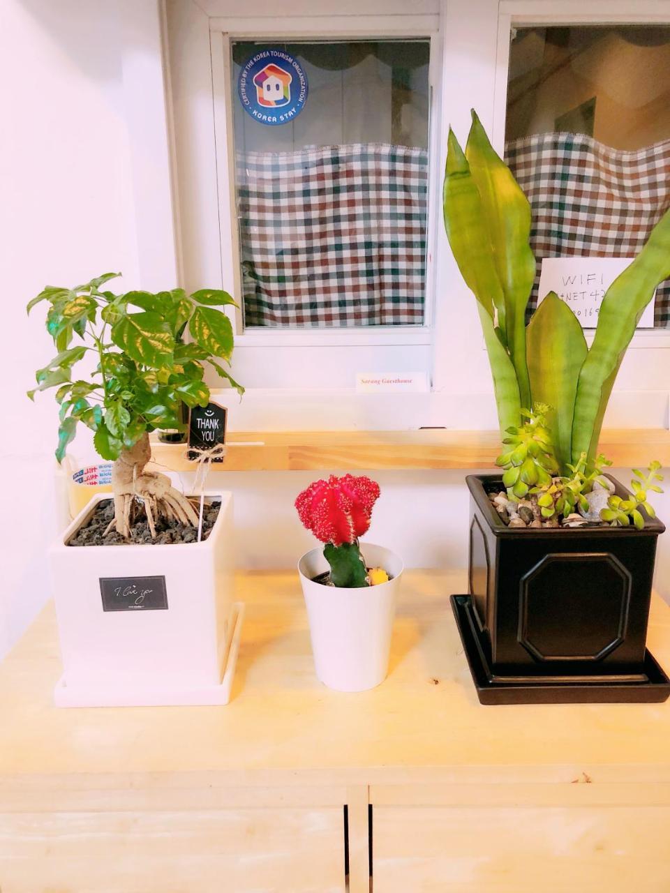 Sarang Guesthouse Dongdaemun Seul Dış mekan fotoğraf